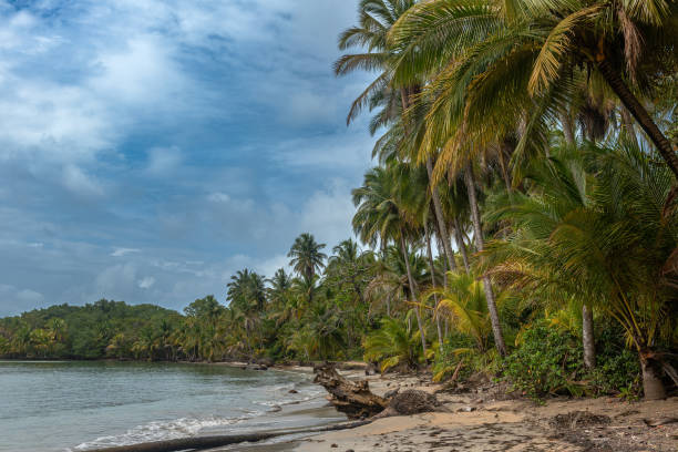 istock Panoramic view of the beach of Boca del Drago 2162479391