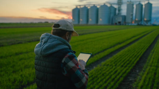 istock Caucasian Farmer Managing Crop Growth on Tablet during Sunset 2162479931