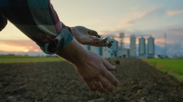 A male farmer examines the soil in his hands with expertise, as the silhouetted grain silos provide a serene backdrop during sunset hours.