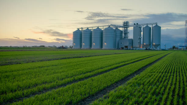 istock Sunset Over Farmland with Grain Silo 2162479938