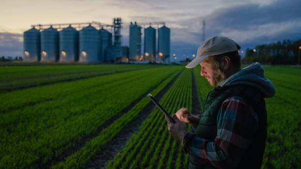 istock Caucasian Farmer with Tablet at Dusk Near Grain Silos 2162479957