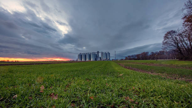 istock Sundown Glow Over Rural Wheat Silo 2162479970