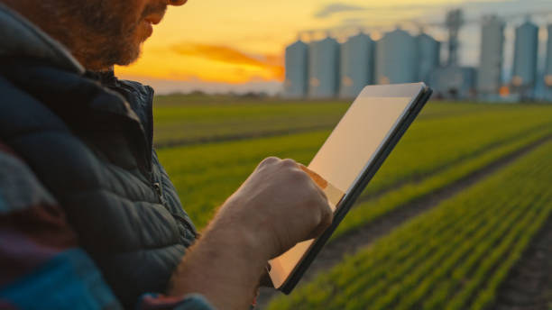 istock Caucasian Farmer Analyzes Crop Data on Tablet at Dusk 2162479986