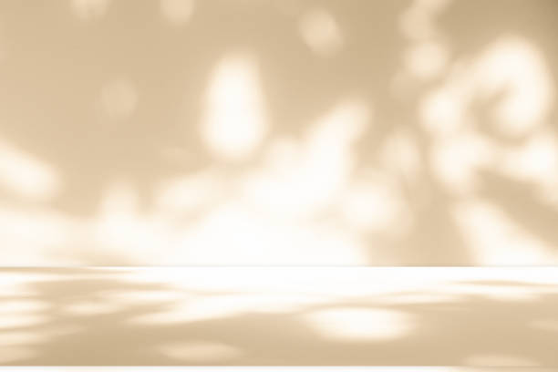 Studio style background wall decoration presentation uses white and beige tones. with shadows cast from a nearby window, concept creating a decorative