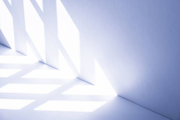 Studio style background wall decoration presentation uses white and blue tones. with shadows cast from a nearby window, concept creating a decorative