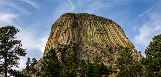 Close up of Devils tower behind trees in america on sunny day, usa