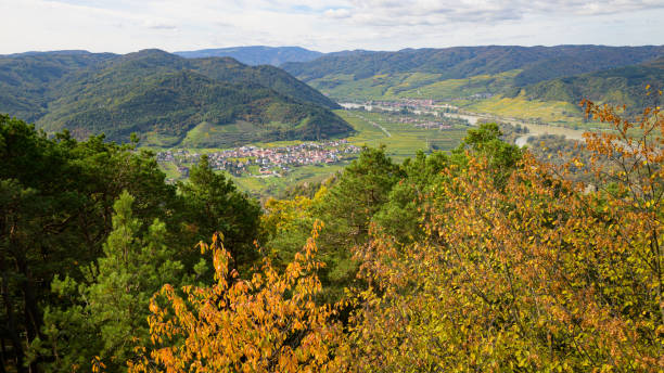 A beautiful and colorful forest in front of hills on a sunny day in autumn