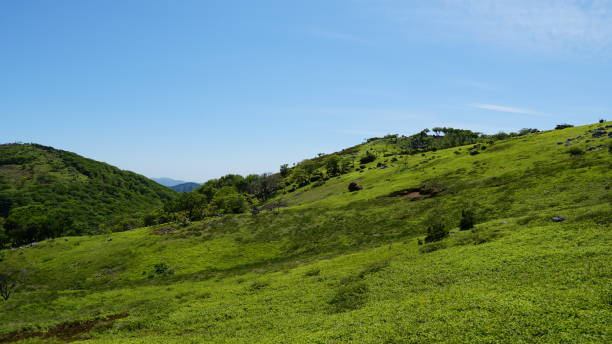 istock Green scenery on mountains in early summer 2162499632