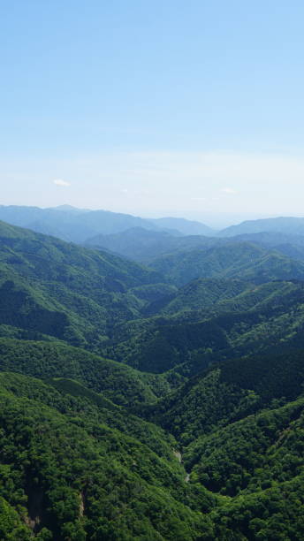 istock Green scenery on mountains in early summer 2162499724