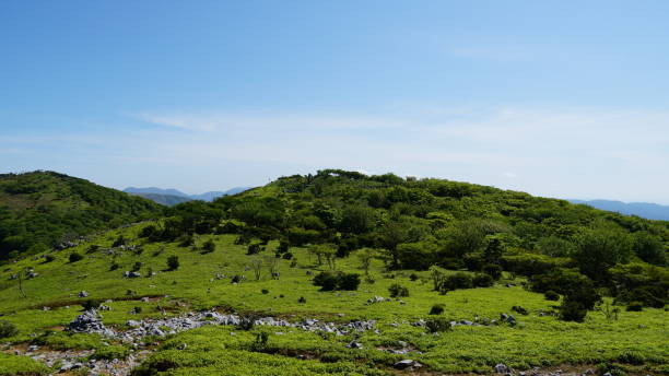 istock Green scenery on mountains in early summer 2162499760