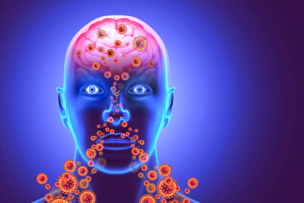 istock Brain viral infection, Viral meningitis and encephalitis. 3d illustration 2162502003