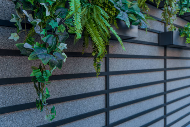 istock loft interior designed space textured wall perspective surface with flower pots and green foliage plants 2162504000