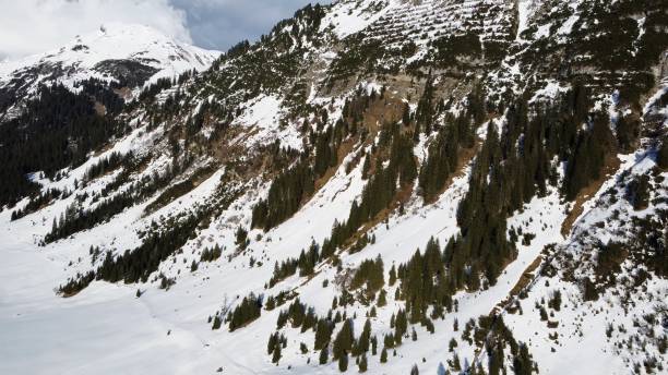 istock Majestic Snow-Capped Mountain with Pine Forest 2162510222