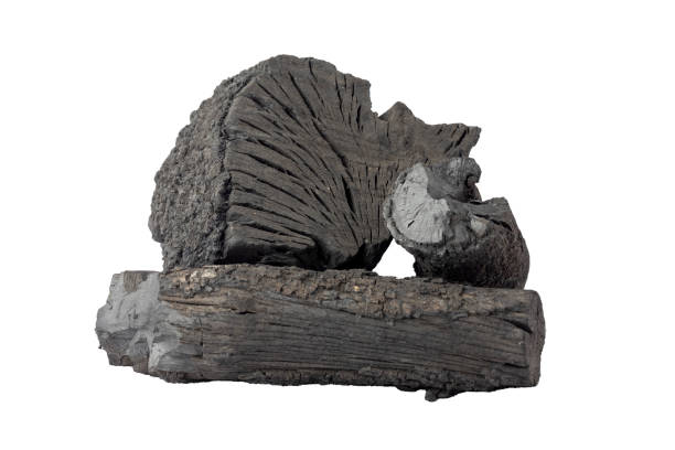 Image showing a stack of charcoal logs with rugged texture, isolated on a pristine white background, presenting a natural, rustic, and earthy appearance with detailed cracks and crevices.