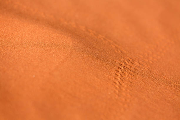 Desert sand dune orange texture background, close-up