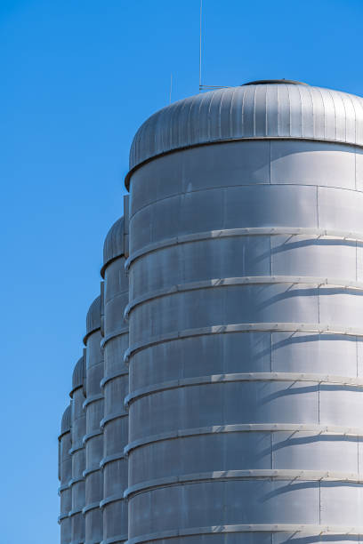 A picturesque scene featuring a grain silo standing tall amidst lush green corn fields on a sunny summer day. This photo captures the essence of rural agriculture and the beauty of the farming landscape