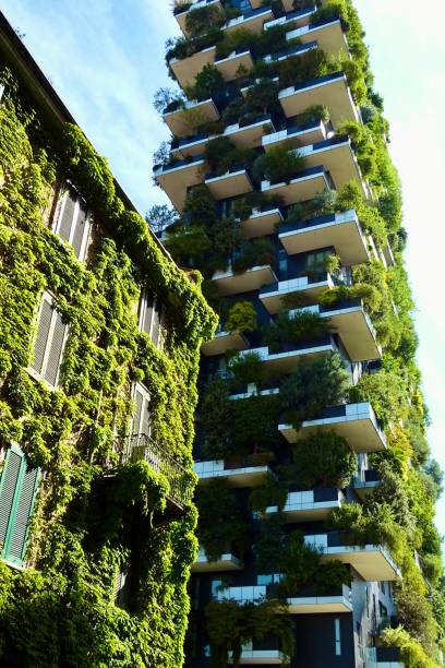 istock Residential skyscraper with trees and old house covered with ivy 2162515369