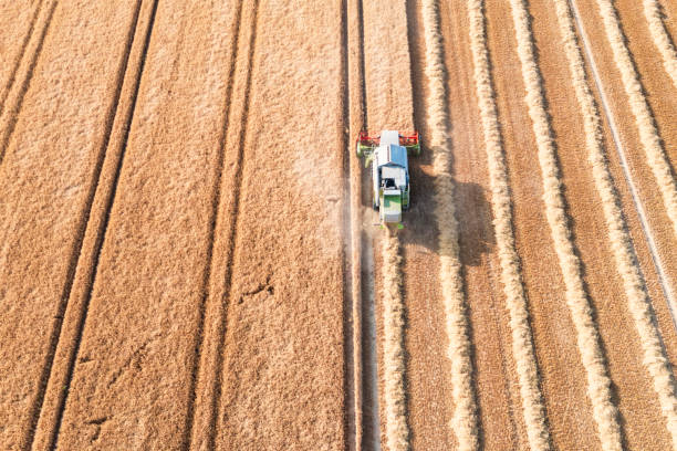istock Grain harvest in the Taunus 2162519602