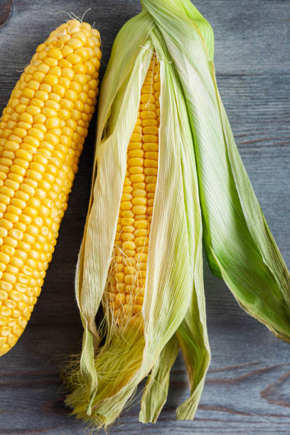 istock Fresh corn with green leaves still life vegetables. Sweet yellow corn. Corn on the cob kernels peeled. 2162519677