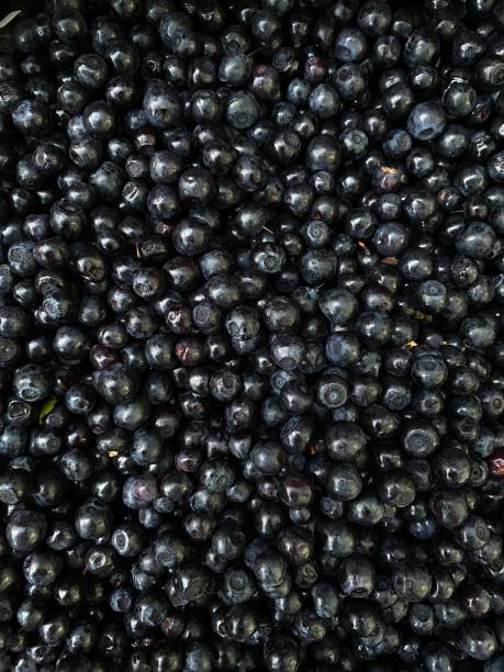 istock Closeup Image of Blueberries 2162519837