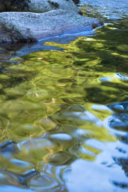 Detail of little clean creek structure texture
