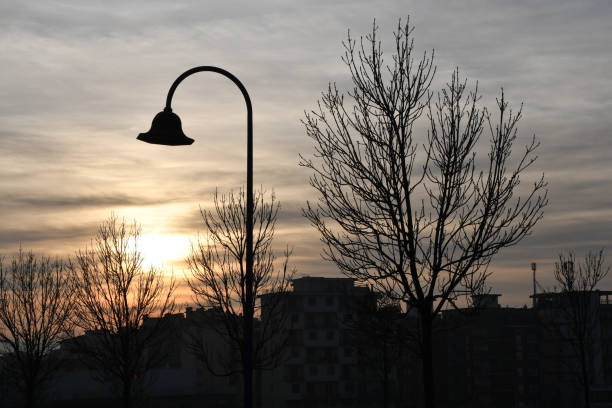street lamp in a park with trees at sunset