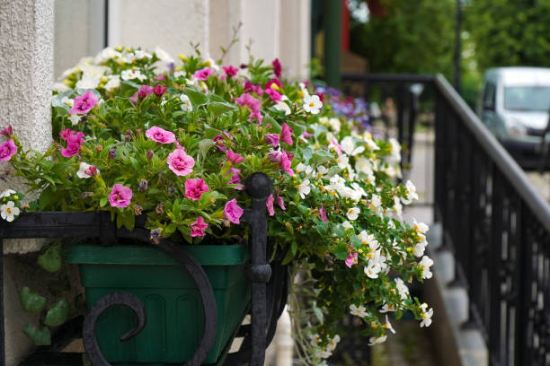istock Flowers on an outdoor balcony 2162527944