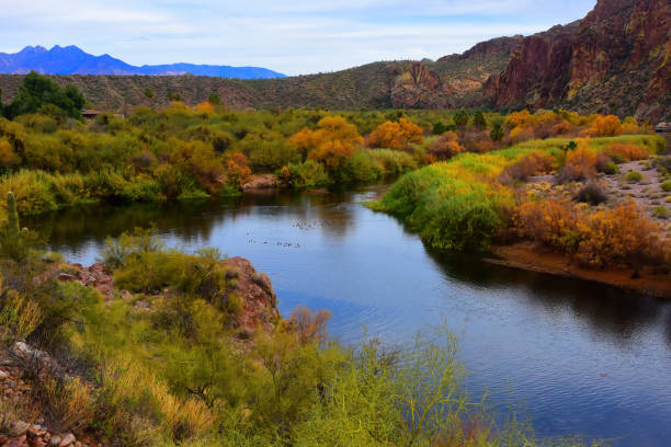 istock Salt River Recreation Area Arizona 2162529218