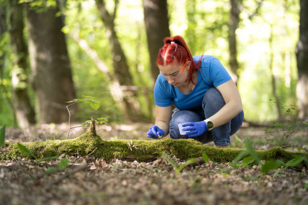 istock A young female biologist scientist taking plant sample 2162536457