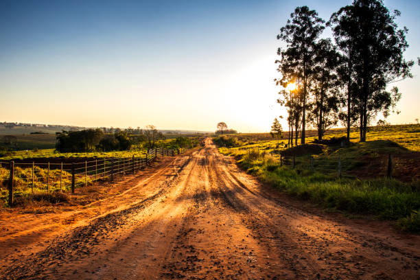 istock Dirt road on rural properties in Brazil 2162538054