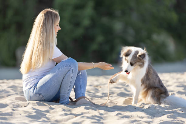 istock Young woman resting on sandy beach with her dog during summer day 2162539936