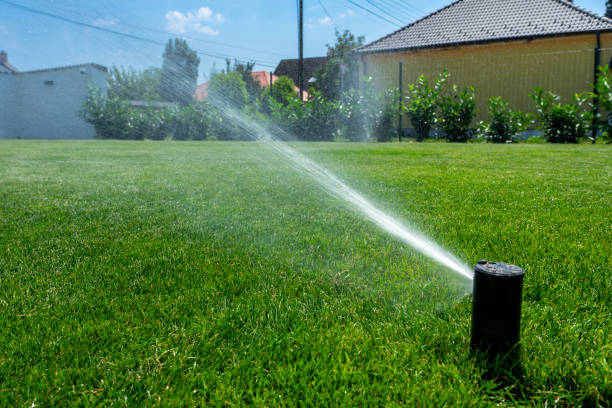 istock automatic watering system in the back yard garden with green grass 2162540097