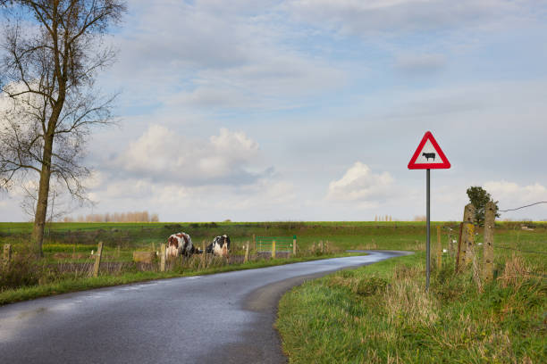 Traffic signal surrounded by a hedge
