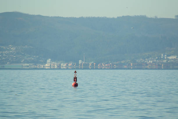 an industrial buoy in a ship port