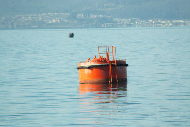 an industrial buoy in a ship port
