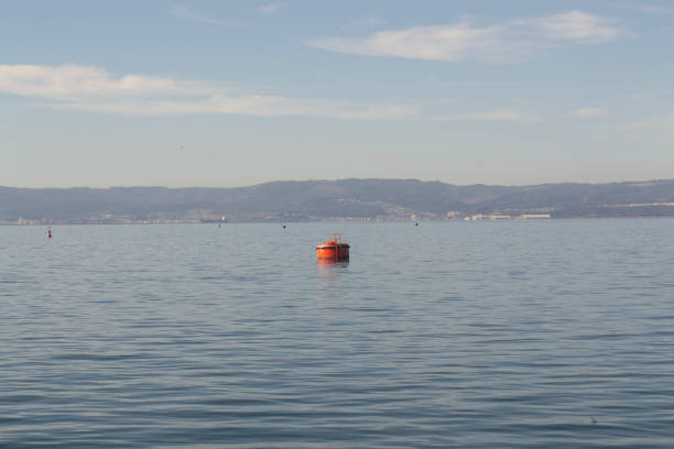 an industrial buoy in a ship port