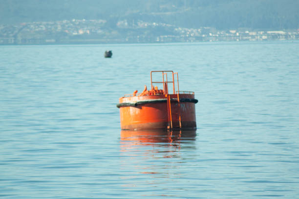 an industrial buoy in a ship port