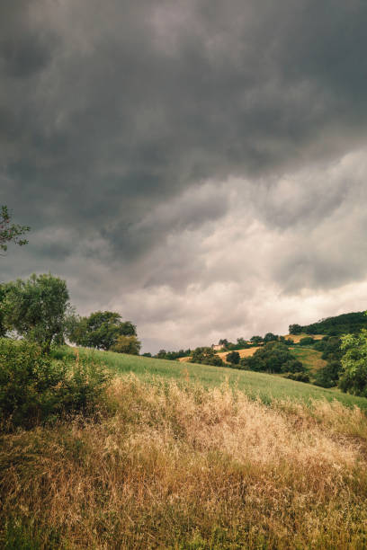Beautiful landscape before the storm, lush foliage and green fields