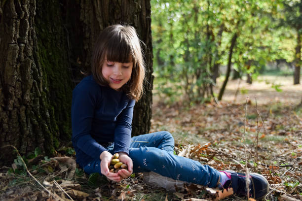 Full length of cute little girl sitting under oak tree and holding oak nuts