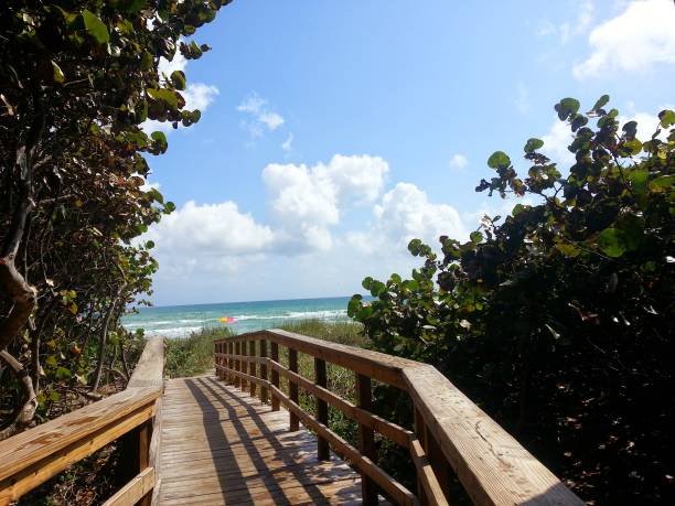 istock Entrance to the beach wood path 2162545185