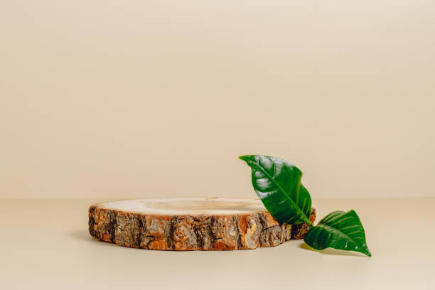 istock Wooden empty podium with green leaf on beige background. 2162548769