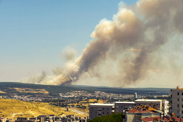 View of the smoke of forest fire over city.