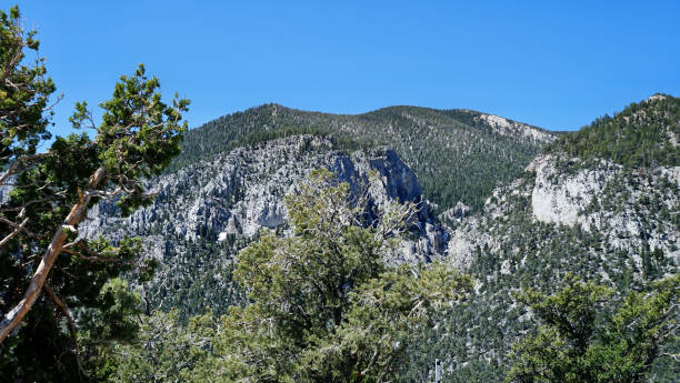istock Mt Charleston Views from the Top 2162556602