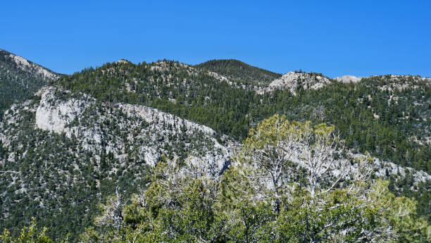istock Mt Charleston Views from the Top 2162556639