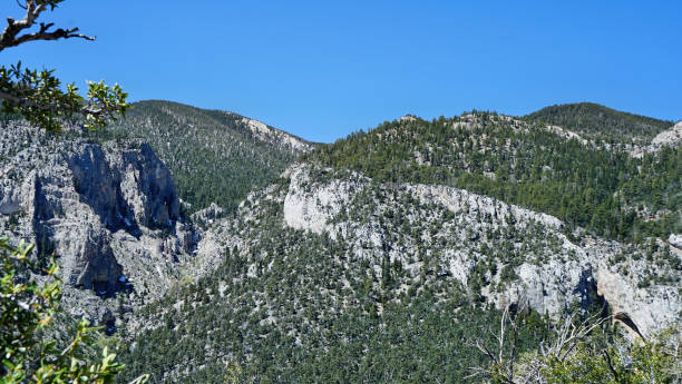 Mt Charleston Views from the Top