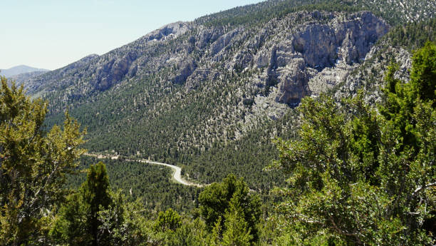 istock Mt Charleston Views from the Top 2162556977