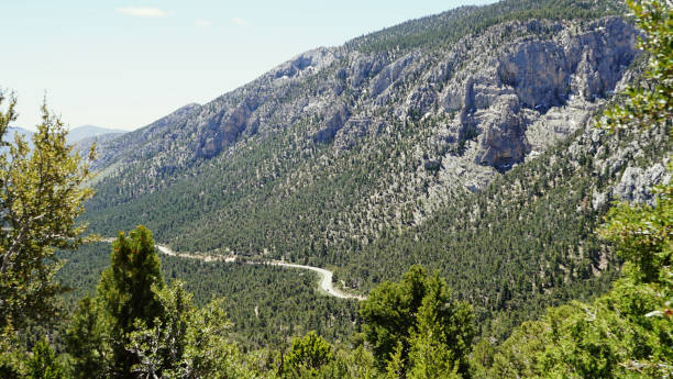 istock Mt Charleston Views from the Top 2162556983