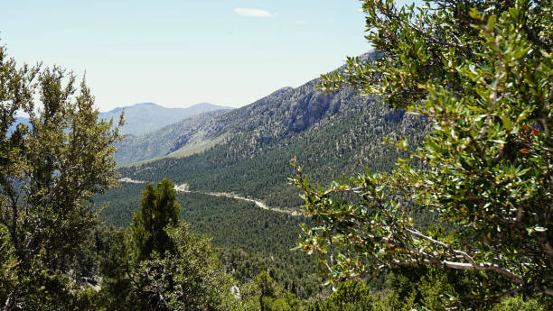 istock Mt Charleston Views from the Top 2162556988