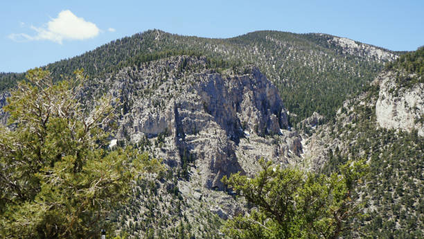istock Mt Charleston Views from the Top 2162556998