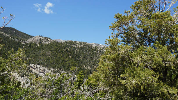 istock Mt Charleston Views from the Top 2162557270